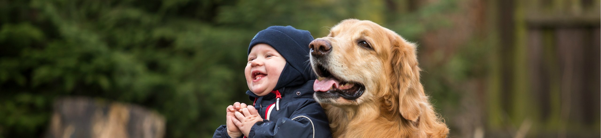 Beneficios de las mascotas para los niños